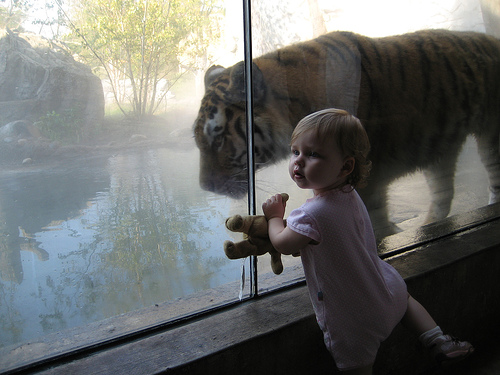 Naomi and tiger