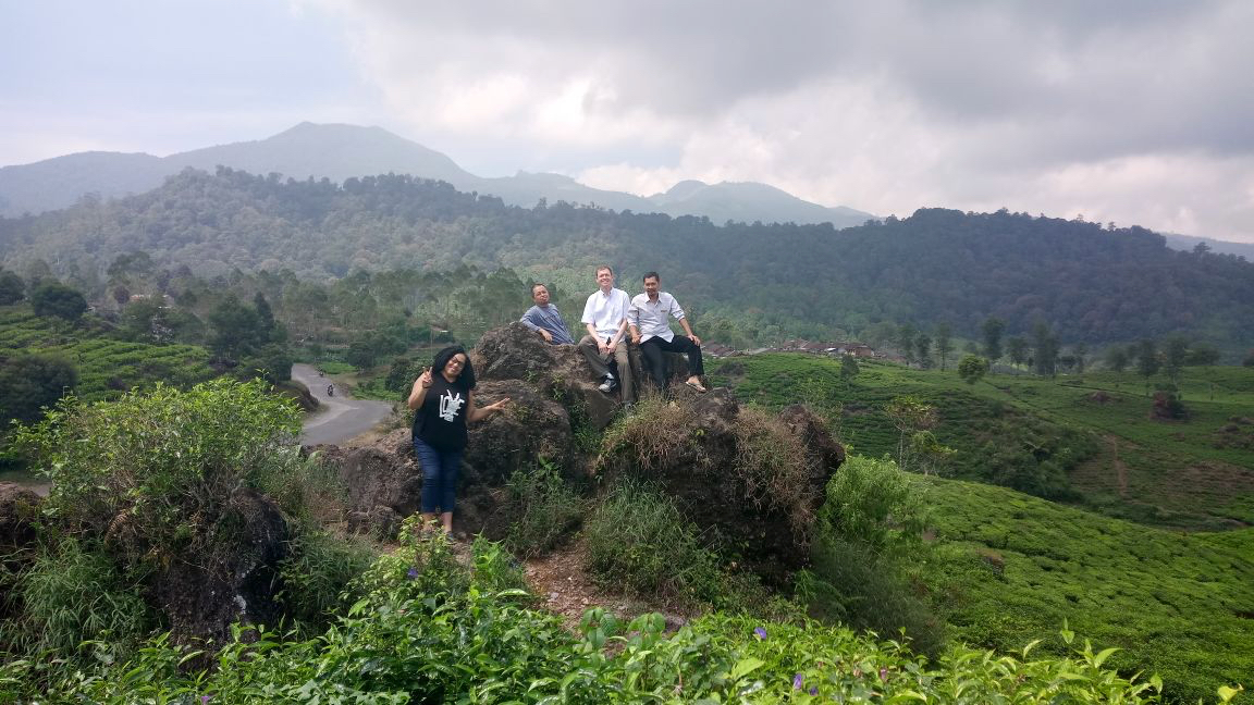 group shot on rocks with tea growing in mountains