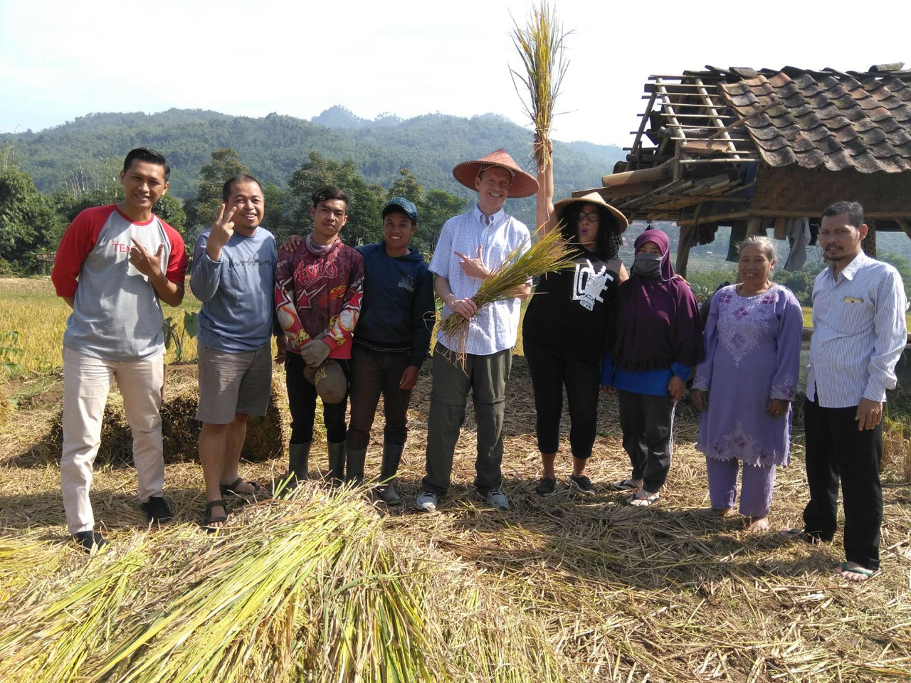 rice hats