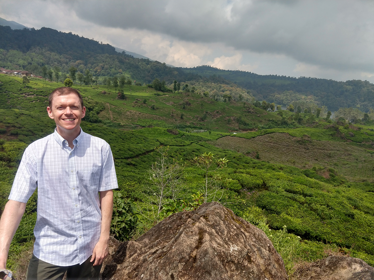 Phil with tea growing